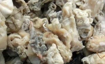 The Role of Shredders in Rubber Waste Recycling